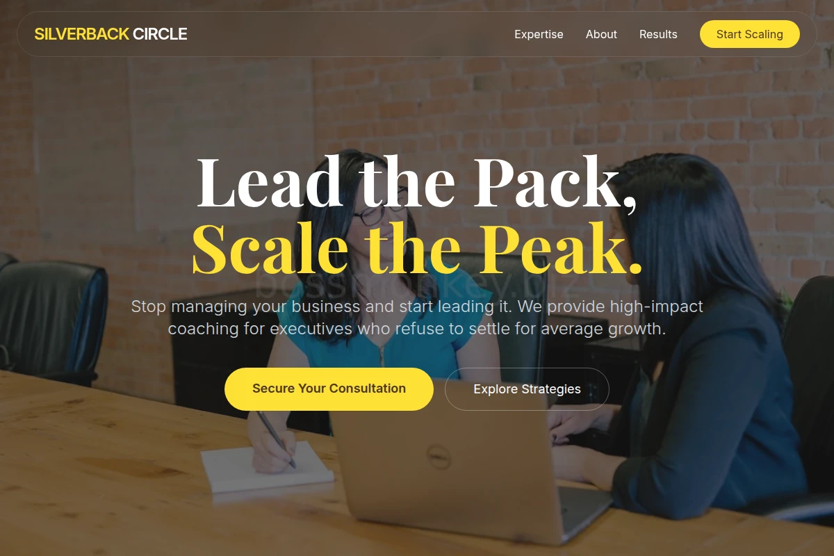 business-coach