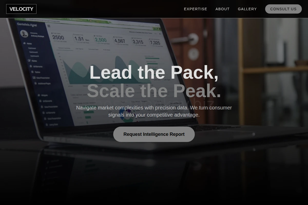 Velocity Market Research